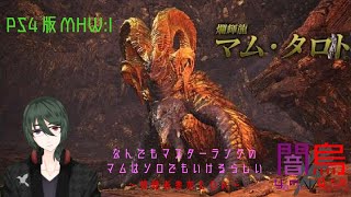 【MHW:IB】マスターマムが帰っちゃう#13