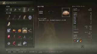 ＃エルデンリング　初見プレイ　6日目　「日の巨人...」マルチプレイ歓迎