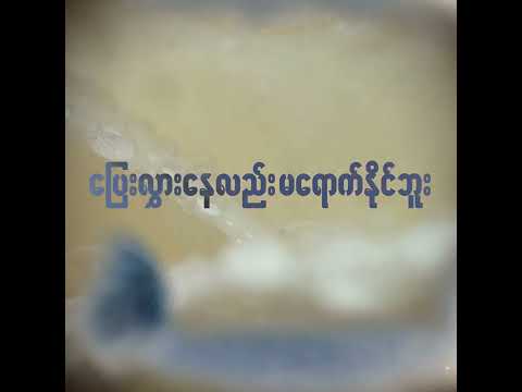 ဖိအား (Pressure)  - Lyrics Video