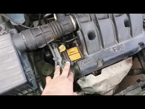 4 Reasons!! Palio Siena Uno Fire Giving Too Much Ground To Catch