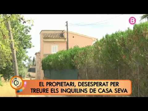 Continuen les festes sexuals a un xalet de Consell