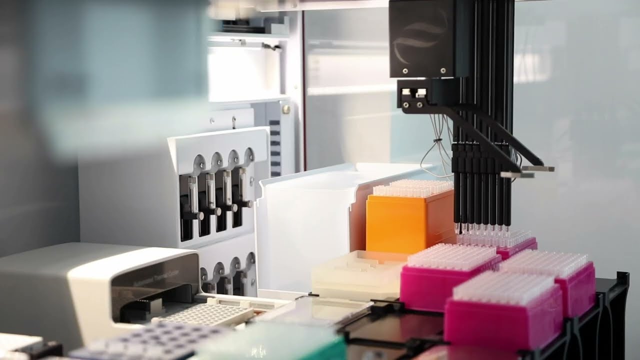 Krystian Jażdżewski-2