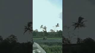 Download lagu Cuaca sore terang‼️Outo cuci motor dong🤣 #trendingshorts #fyp mp3