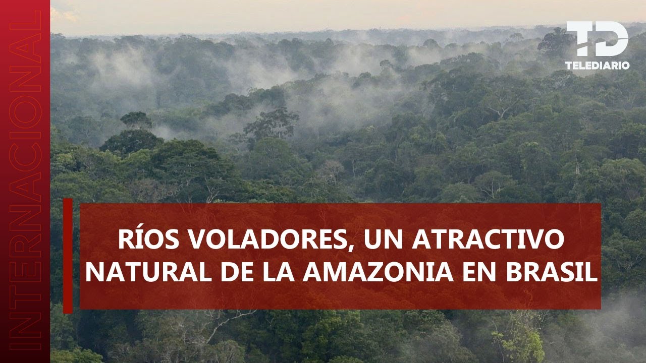 MUSA, el museo que conecta ciencia y selva en el corazón de la Amazonía, Brasil