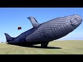 Life-Size Blue Whale Kite