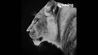 Download lagu Dimanakah Dikau(Album Version) mp3 Download lagu Dimanakah Dikau(Album Version) mp3