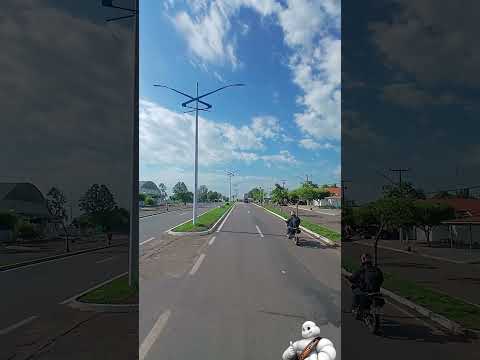 Pequizeiro - Tocantins 🇧🇷