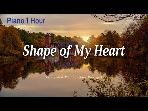 [Piano 1hour] Sting - Shape of My Heart