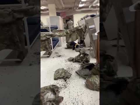 Spreading rubber seeds for the recruits