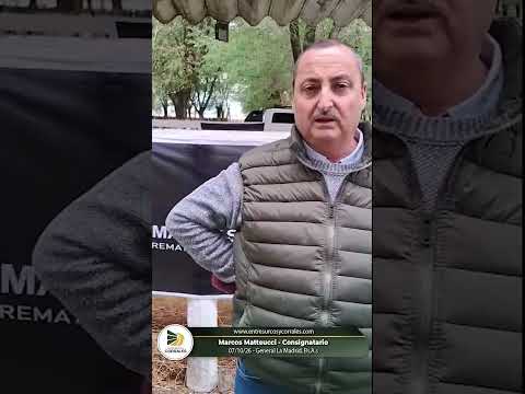 07-10-26 - Marcos Matteucci - Consignatario - General La Madrid, Bs.As.