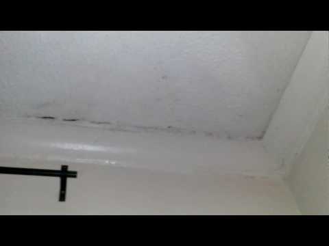 904 Catalina #7 Living Room Ceiling Water Leak 01.27.2017