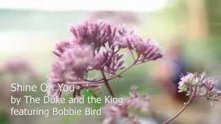 Bobby Bird (of The Duke and the King) - Shine on You