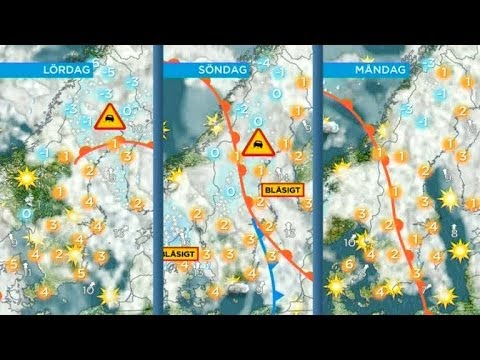 Linda Eriksson om det milda vintervädret - Nyhetsmorgon (TV4)