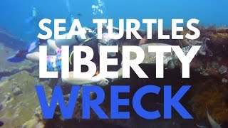 Sea Turtles at Liberty Wreck: Diving Bali