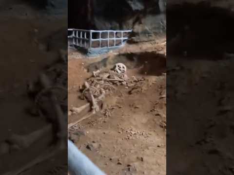 I found a mysterious GIANT skeleton in a CAVE in Thailand 🇹🇭 #thailand #mystery #archeology