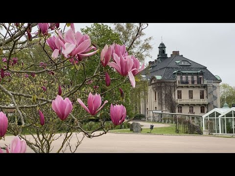 A Trip in Landskrona and Surroundings