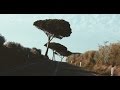 Gone in the Sun - SMILE 