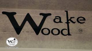 Wake Wood от Европы-Днепр Porcelanosa