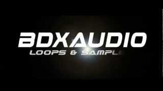 BDXAUDIO LOOPS Download FREE 100MB Samples and Loops