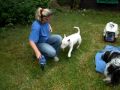 Bambam Beim Spielen