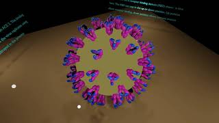 Simplified model of the corona virus SARS CoV 2 that causes COVID-19 disease