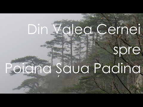 Muntele este frumos pe orice vreme! ⛅💧🌱🏔️ Traseu pitoresc mai puțin cunoscut în MUNȚII MEHEDINȚI