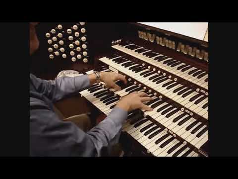 The Haunted Organ / Extended Version