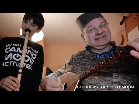 каранфил невесто мори - makedonian tambura