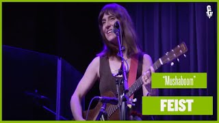 Feist - &quot;Mushaboom&quot; (live on eTown)