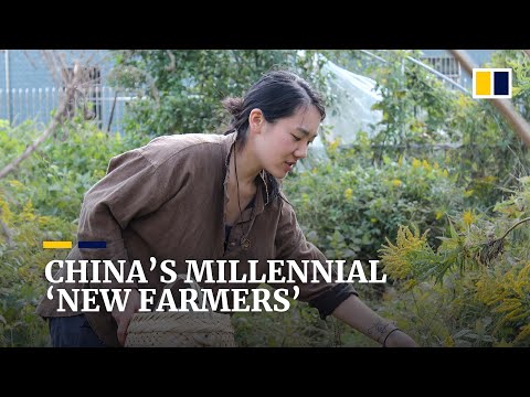 Millions of Chinese millennials become ‘new farmers’ to look for the meaning of life