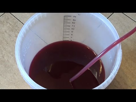 Wino z winogron cz.  2 - odrzucamy owoce