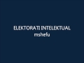 Mshefu Elektorati Intelektual