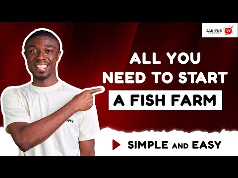 How To Start A Successful Catfish Farm As A Beginner in Ghana with LESS Capital 2024: DETAILED STEPS