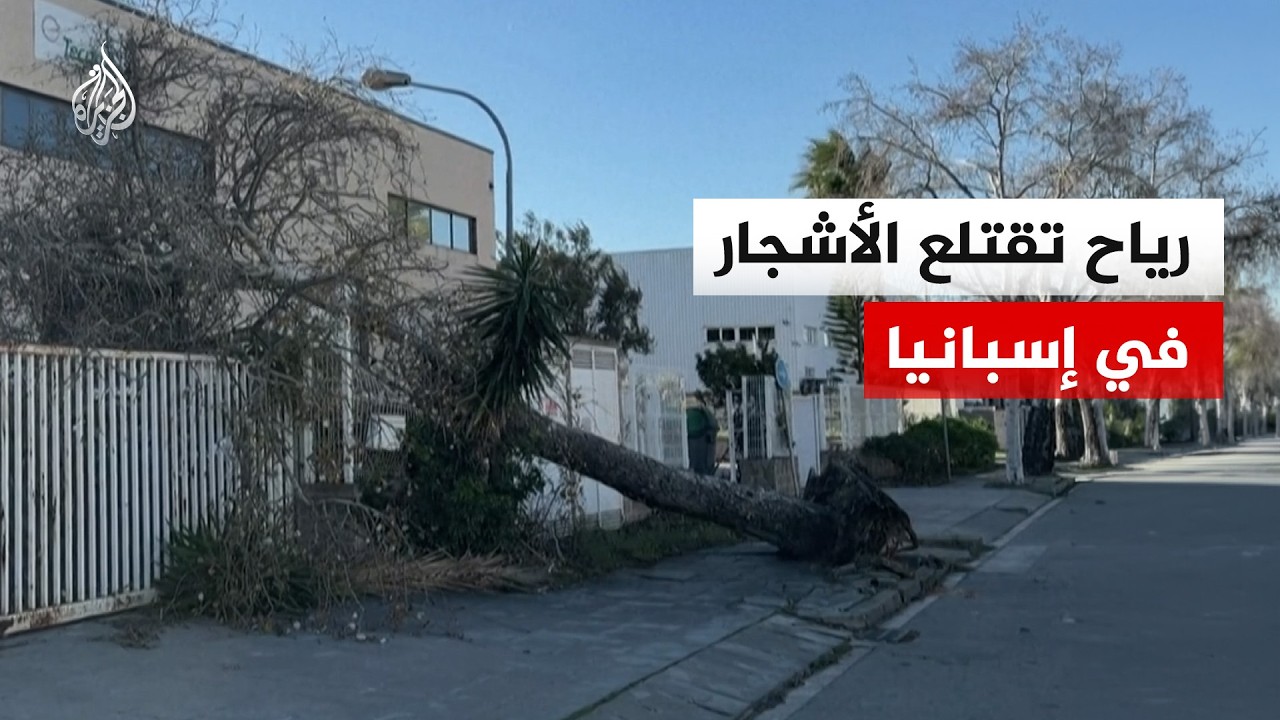 رياح تقتلع الأشجار بعد وصول العاصفة "نيلز" للساحل الكتالوني