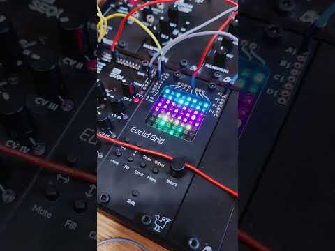 Euclid Grid for AE Modular