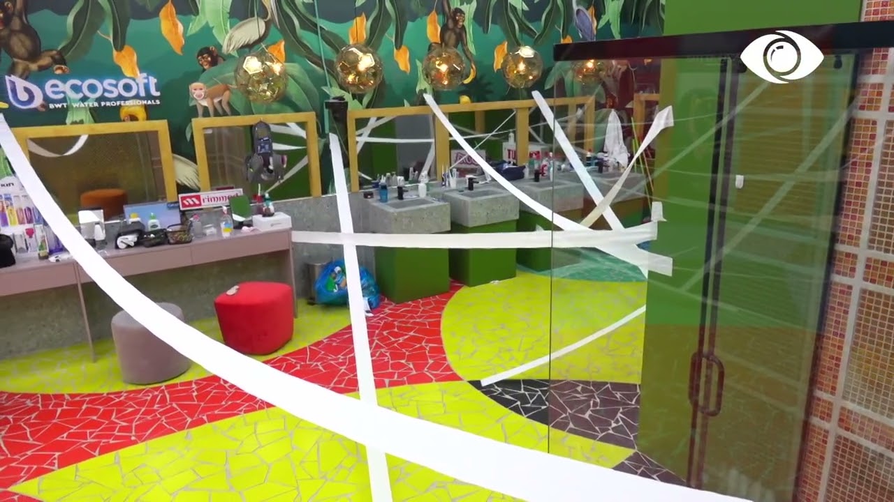 Shtëpia e pushtuar nga letrat higjienike, Qetsori sheh situatën e pazakontë