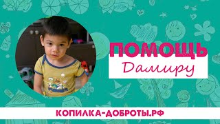 Помощь Дамиру