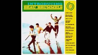 The Beau Brummels - 03 Just a Little (HQ)