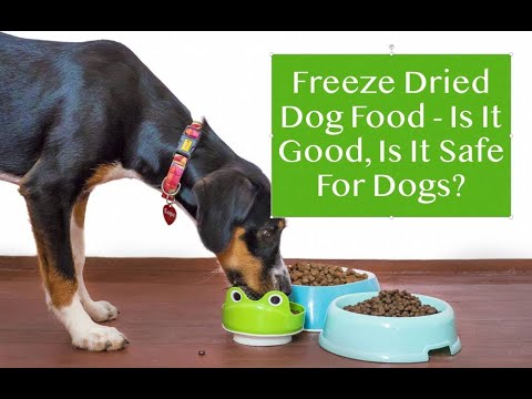 Freeze Dried Dog Food - Is It Safe, Healthy & Good For Dogs?