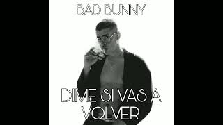 Bad Bunny - Dime Si Vas A Volver | Audio Oficial