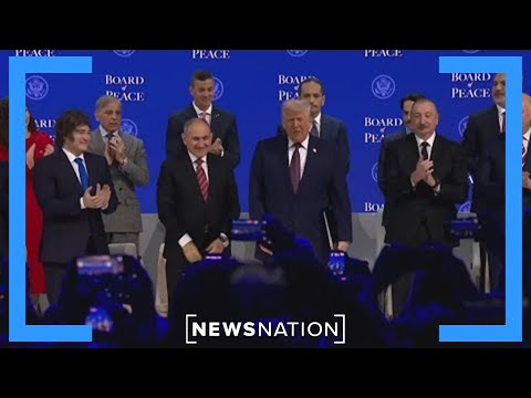 Top US allies decline Trump's Board of Peace invitation | NewsNation Live