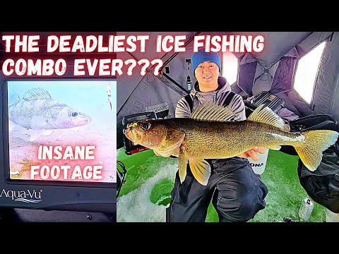 Early Ice WALLEYE Fishing with Aqua-Vu &amp; LiveScope (INSANE UNDERWATER FOOTAGE)