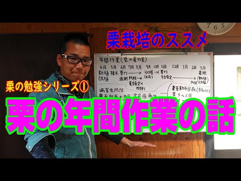 園芸 塊茎エンドウ、塊茎エンドウ、すりつぶした栗