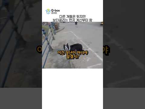 물에 뛰어들기 전부터 이미 계산은 끝났음
