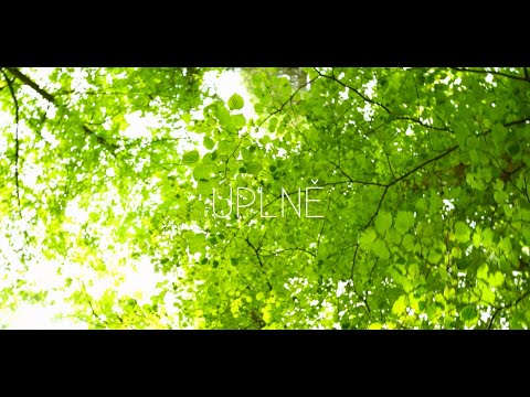 Tomáš Mičian - Úplně