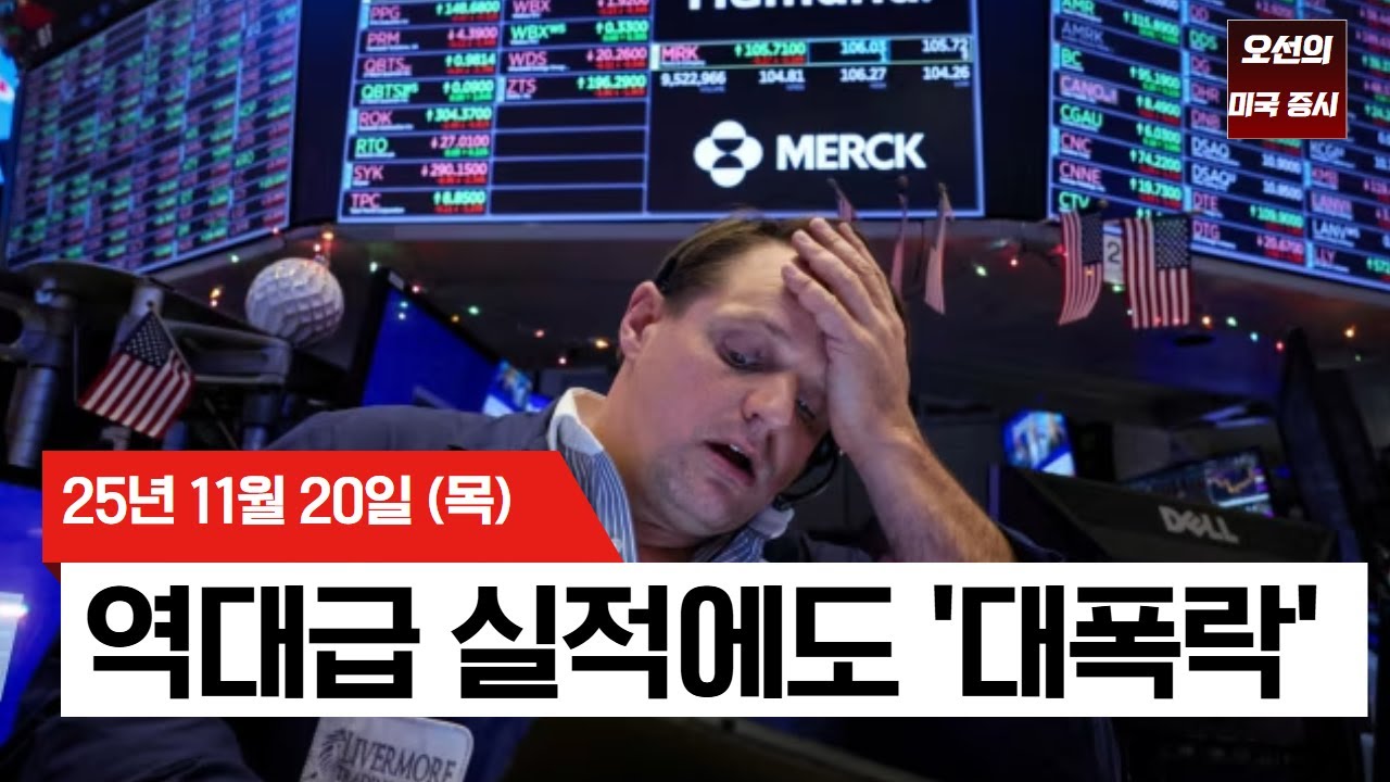 엔비디아 서프라이즈에도 미 증시 와르르, 4월 이후 최악의 변동성 터진 이유 정리