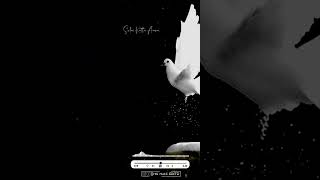 Download lagu Chinna Chinna Aasai || Tamil Full 4K Notch screen status||சின்ன சின்ன ஆசை AR Rahman's first Song mp3