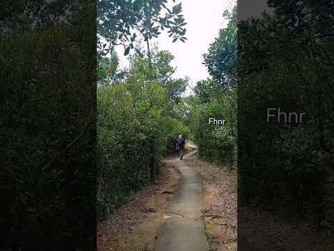 hiking #shorts #nature #hashtag #hikinghk #stream #new #love