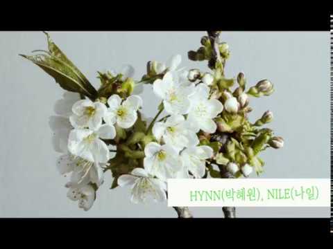 HYNN - 봄의 발라드 (feat. 나일) album art