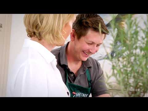 Im Ofen geschmorte Paradeiser mit Feta und Penne